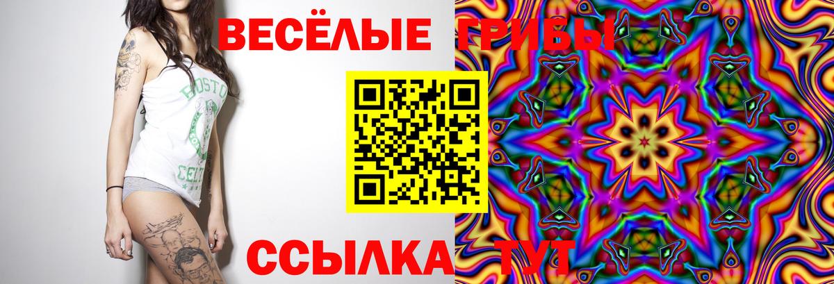 Галлюциногенные грибы Cubensis Волжский