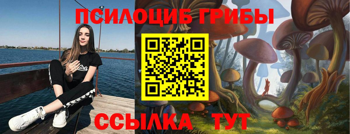 сколько стоит  Галлюциногенные грибы мухоморы  Вход с VPN  Волжский 